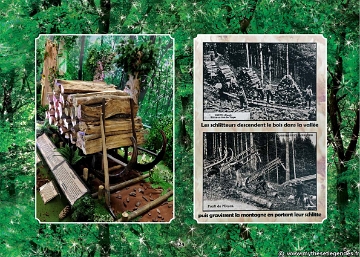 Exposition La Forêt Enchantée (119) Photographies d'époque